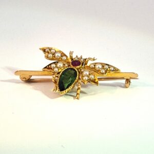 AVT8894 gem set fly brooch, circa 1890
