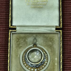 AMS8936 a rare Carlo & Arthur Giuliano pendant, original fitted case